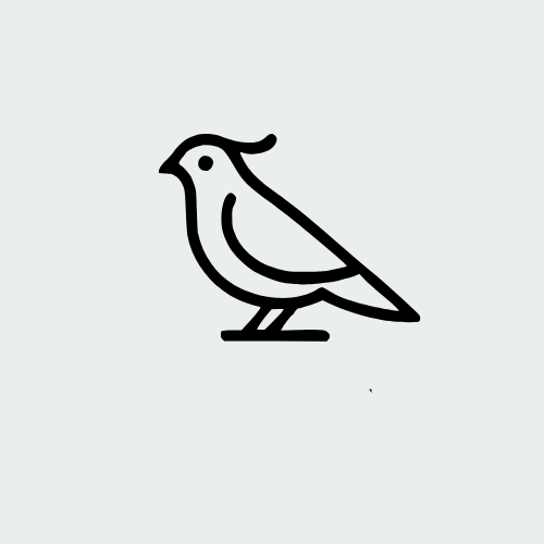 Quail